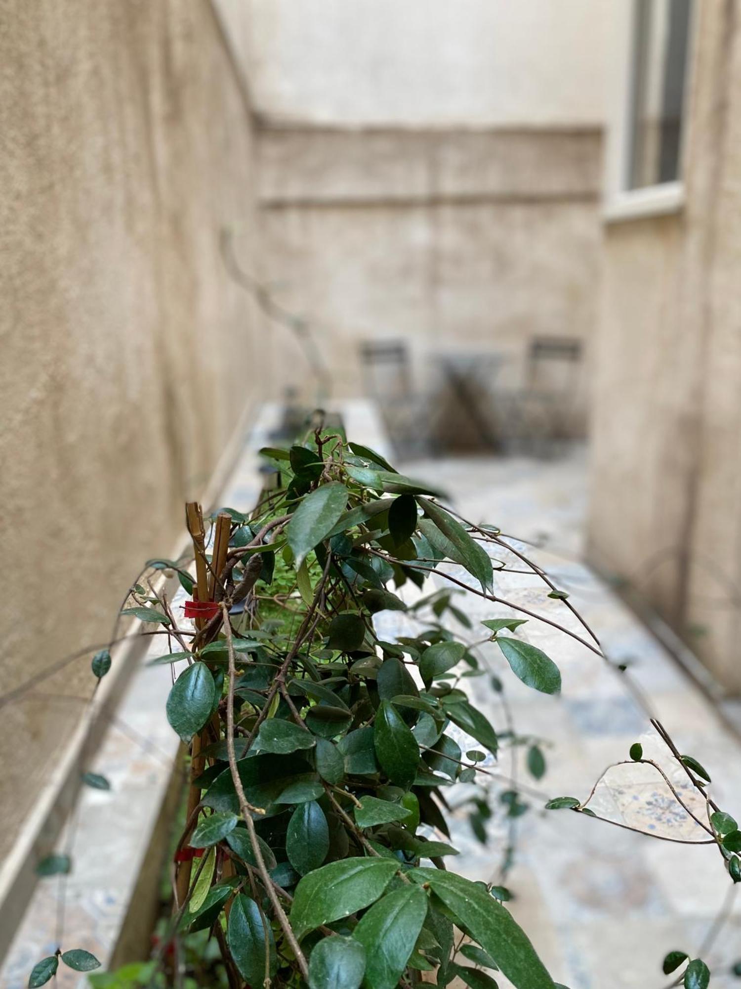 Ferienwohnung A Place 4 U Below Acropolis Athen Exterior foto